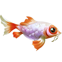 Giant Goldfish