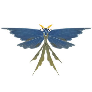 Gossamer Veil Moth