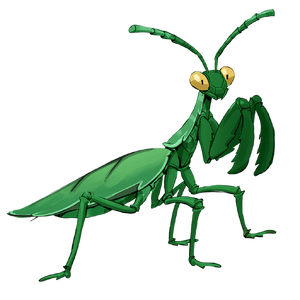 Leafstalker Mantis