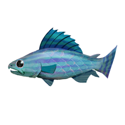 Rainbow Trout