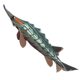 Striped Sturgeon